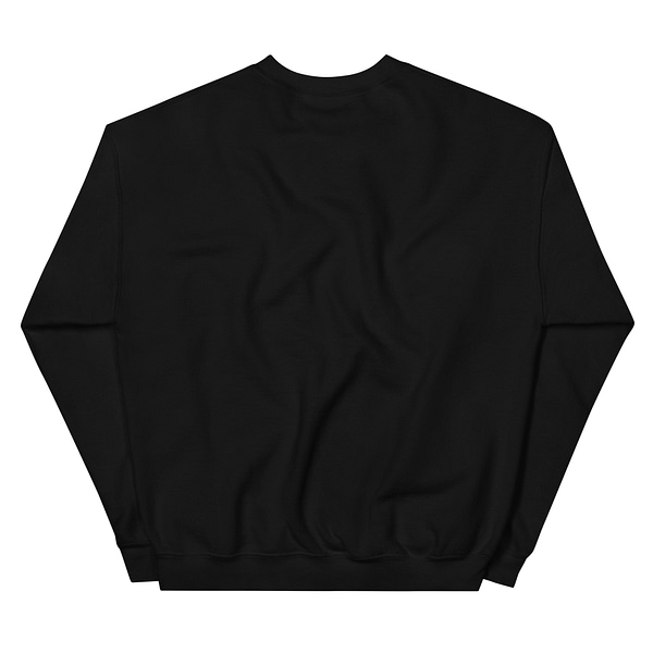 Ein Unisex-Pullover-Sweatshirt in Schwarz.